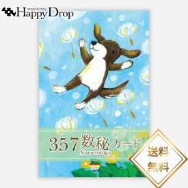 357数秘カード オラクルカード 日本語版 日本語シート付き 正規品 占い 当たる 美しい きれい かわいい おすすめ 恋愛 仕事 人生 人間関係 タロットカード ルノルマンカード 数秘 数字 可愛い 珊瑚なな