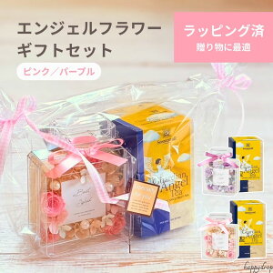 GWFt[MtgZbg bsO v[g Mtg hV̓ a Vĝ  eB[^C u r 킢 ꂢ sN p[v