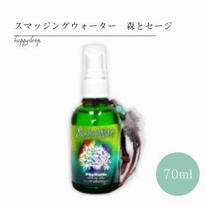 X}bWOEH[^[ XƃZ[W n[u  򉻃~Xg |WeBu  lCeBu Z[W zCgZ[W 򉻃Xv[ VRΏ  I[ ACe 蕨ɍœK Z