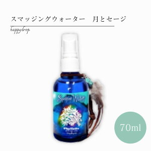 y\񏤕i 11/6()珇zX}bWOEH[^[ ƃZ[W n[u  򉻃~Xg |WeBu  lCeBu Z[W 򉻃Xv[ VRΏ  I[ ACe