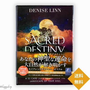 y\񏤕i11/15iyj蔭\z^  ZCNbhfXeBj[IN iXyVGfBVj INJ[h { {t Ki 肢   