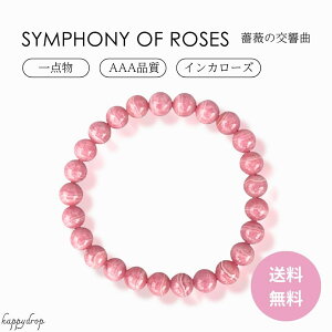 y_zKŇ CJ[Y [hNTCg sN [YsN uXbg ANZT[ p[Xg[  J^ ^  킢 