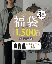 全品30％OFFクーポン(2点同時購入で)[送料無料]秋冬アパレル商品が3点入った豪華セット!何が入るかお楽しみ3点入り福袋　オータムウィンター/秋冬福袋 福袋 ハッピーバッグ 豪華 レディース [メール便不可][返品交換不可]
