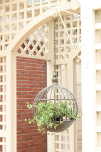 y ݂艺^ o[htB[_[znMOo[htB[_[ 쒹Aɂ 쒹pa K[fI[ig AeB[N (MU02)