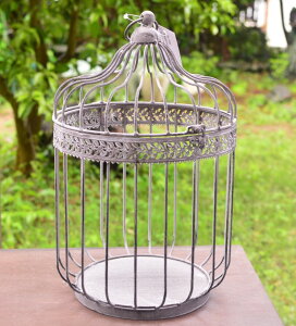 yzAeB[N o[hQ[W LTCYbȃK[fI[igEt[X^h K[fI[ig (MU02)