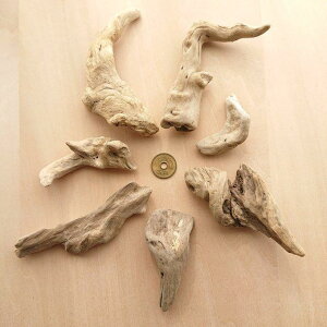 流木 約5.5cm〜約12cm 210325