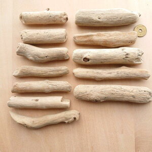  8cm`13cm 210429e