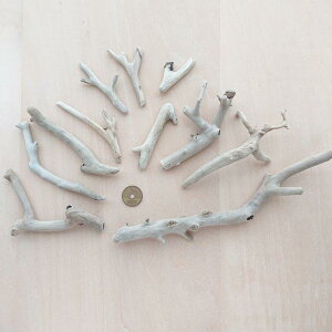  5.2cm`23cm 11{Zbg 210830d