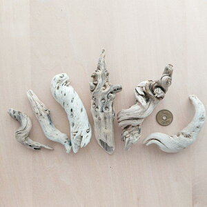  7.5cm`13.5cm 210324c