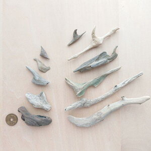  2.5cm`14.5cm 210324d