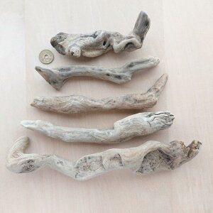  13.5cm`26.5cm 210421a