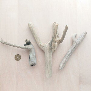  14.5cm`19.5cm 210427b