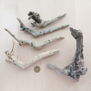 流木 約13.5cm〜約18cm 210512g