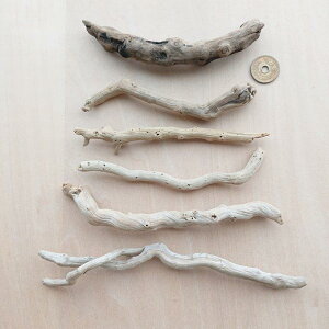 流木 約13.2cm〜約19.2cm 220114d