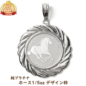 ジュエリー プラチナ トップ コイン コインペンダントトップ 田中 