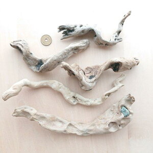  13.5cm`21.7cm 210427C