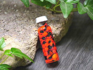 ANAK^F̂ C[ r ^X} |Xgzs