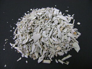 ZCNbh zCgZ[W _ |XgzI\ł 2ܖɑ1ʕ|܂ VRzCgZ[W NbV20O ܓ AJ蒼A炱̉i X