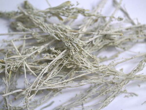 ȂZ[W fU[gZ[W |XgzI\ł 2ܖɑ1ʕ|܂ 10g AJ蒼A炱̉i VRfU[gZ[W@NX^[10O ܓ X}