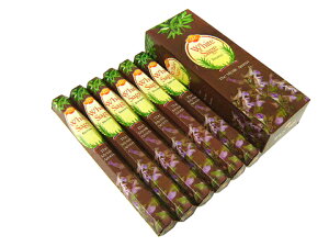  zCgZ[W XeBbN SAC WHITE SAGE CZX Ch AWAG 6Zbg |XgzIő isł