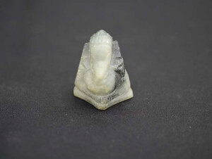 Kl[V̎蒤WFCh AŐ No.5 VR΁Eu