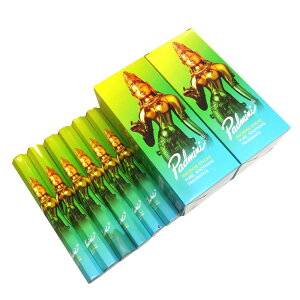  ph~j XeBbN ܂Ƃ߃vCXHEXA30/PADMINI PADMINI/ Ch/ 