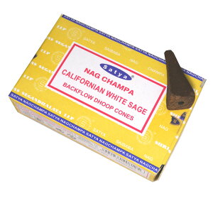 SATYA obNt[R[ | t 6 pTg JtHjAzCgZ[W t`x_[ XC[goj hSYubh q}WX~ 110