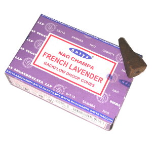 SATYA obNt[R[ | t 6 pTg JtHjAzCgZ[W t`x_[ XC[goj hSYubh q}WX~ 110