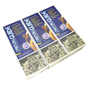 ���� �p�h�~�j �X�s���`���A���K�C�h���X�e�B�b�N �����܂Ƃ߃v���C�XHEXA18���Z�b�g PADMINI SPIRITUALGUIDE �C���Z���X �C���h�� �l�R�|�X��������