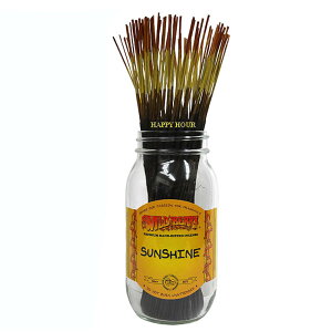  S40WILD BERRYChx[ z TVC IWiWbvpbN10{ XeBbN AJCZX AJG |XgzI\ł 6ɑ1ʕ|