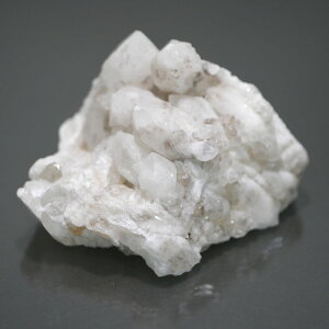 }jJY LhNH[cNX^[ q}NX^[ 1_ 166.4g VR΁Eu |Xgzs