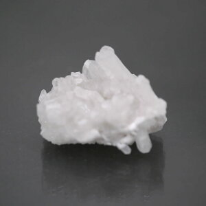 �`�x�b�g�Y�q�}���������N���X�^�[ 1�_�� cluster-55 ��33g �V�R�΁E�u���� �|�X�g�����z���s��