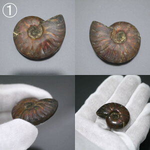 1_ }_KXJYAiCg  F VF e1_ł VR |XgzI\ł