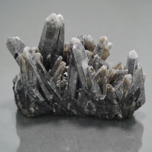 I NX^[ PAS[ NX^[ `xbgY  1_   j  277g VR΁Eu