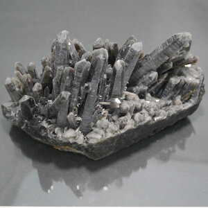 I NX^[ PAS[ NX^[ `xbgY  1_   j  994g VR΁Eu