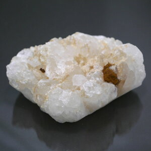 �`�x�b�g�Y�q�}���������N���X�^�[ 1�_�� cluster-58 ��744.2g �V�R�΁E�u���� �|�X�g�����z���s��