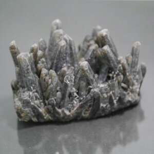 I NX^[ PAS[ NX^[ `xbgY  1_   j  380.5g VR΁Eu