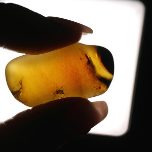 o[}Cg ~}[Y Ao[ Ζ 1_ 4.5O 3.5×2Z` VR΁EuE