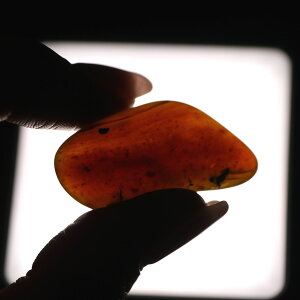 o[}Cg ~}[Y Ao[ Ζ 1_ 3O 4×1.5Z` VR΁EuE