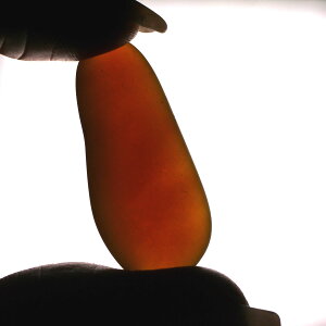 o[}Cg ~}[Y Ao[ Ζ 1_ 1.9O 3×1.5Z` VR΁EuE