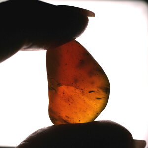 o[}Cg ~}[Y Ao[ Ζ 1_ 3O 2.5×1.5Z` VR΁EuE