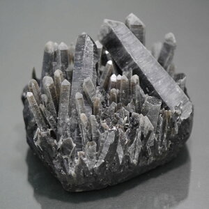 I NX^[ PAS[ NX^[ `xbgY  1_   j  670.1g VR΁Eu