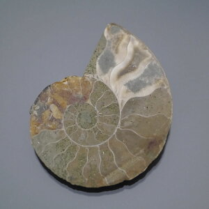 }_KXJ YAiCg n[tJbg 1_ TCY9.0g 38.7mm×30.7mm×7mm  F VF VR |XgzI\ł