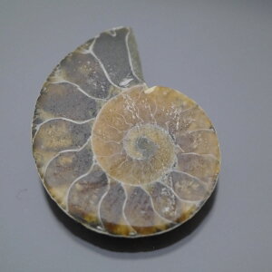 }_KXJ YAiCg n[tJbg 1_ TCY7.0g 31.9mm×26mm×6.6mm  F VF VR |XgzI\ł