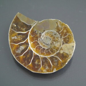 }_KXJ YAiCg n[tJbg 1_ TCY8.9g 34.4mm×28.2mm×7.3mm  F VF D VR |XgzI\ł