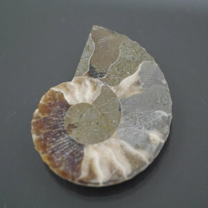 }_KXJ YAiCg n[tJbg 1_ TCY4.3g 30mm×23.4mm×5mm  F VF D VR |XgzI\ł