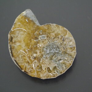 }_KXJ YAiCg n[tJbg 1_ TCY10.7g 34mm×26.2mm×9.4mm  F VF D VR |XgzI\ł