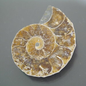 }_KXJ YAiCg n[tJbg 1_ TCY10.7g 37.1mm×31mm×8.4mm  F VF D VR |XgzI\ł