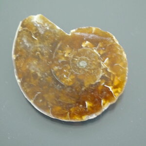 }_KXJ YAiCg n[tJbg 1_ TCY11g 39.4mm×32.8mm×6.6mm  F VF D VR |XgzI\ł