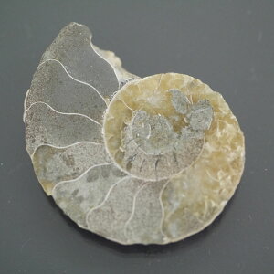 }_KXJ YAiCg n[tJbg 1_ TCY8.7g 38.7mm×30.1mm×6.2mm  F VF D VR |XgzI\ł